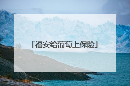 福安给葡萄上保险