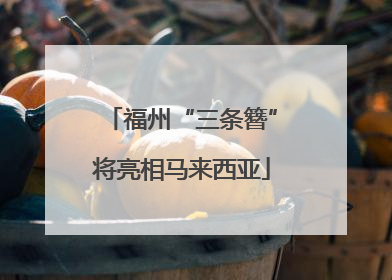 福州“三条簪”将亮相马来西亚
