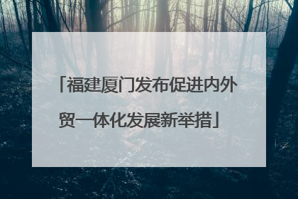 福建厦门发布促进内外贸一体化发展新举措