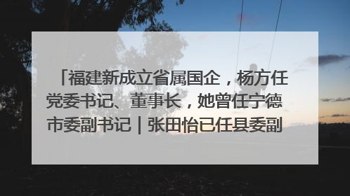 福建新成立省属国企，杨方任党委书记、董事长，她曾任宁德市委副书记｜张田怡已任县委副书记、县政府党组书记