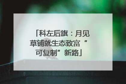 科左后旗：月见草铺就生态致富“可复制”新路