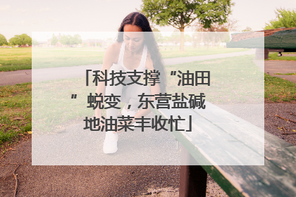 科技支撑“油田”蜕变，东营盐碱地油菜丰收忙