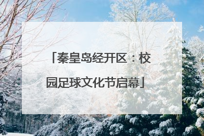秦皇岛经开区：校园足球文化节启幕