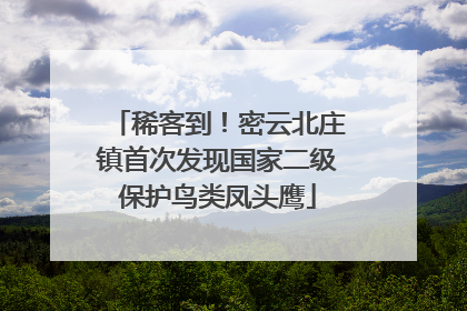 稀客到！密云北庄镇首次发现国家二级保护鸟类凤头鹰