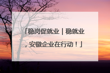 稳岗促就业｜稳就业，安徽企业在行动！