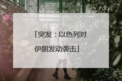 突发：以色列对伊朗发动袭击