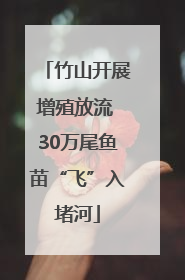 竹山开展增殖放流 30万尾鱼苗“飞”入堵河