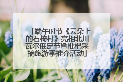 端午时节《云朵上的石椅村》亮相北川瓦尔俄足节暨枇杷采摘旅游季推介活动