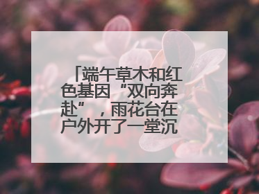 端午草木和红色基因“双向奔赴”，雨花台在户外开了一堂沉浸式思政课