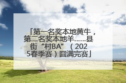 第一名奖本地黄牛，第二名奖本地羊……县街“村BA”（2025春季赛）圆满完赛