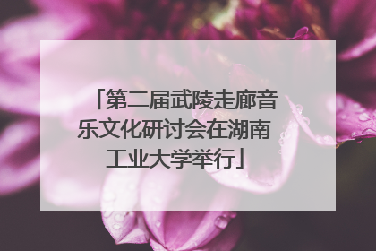 第二届武陵走廊音乐文化研讨会在湖南工业大学举行