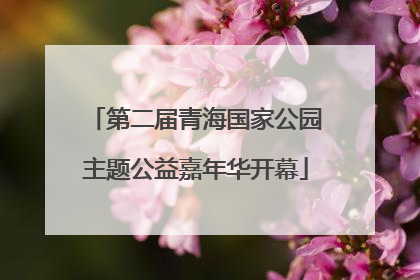第二届青海国家公园主题公益嘉年华开幕
