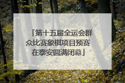 第十五届全运会群众比赛象棋项目预赛在泰安圆满闭幕