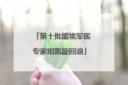 第十批援埃军医专家组凯旋回渝