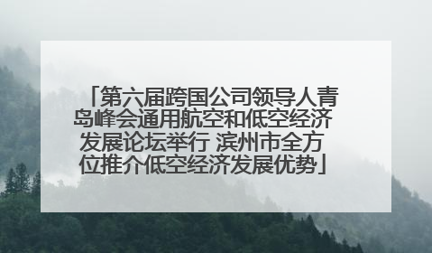 第六届跨国公司领导人青岛峰会通用航空和低空经济发展论坛举行 滨州市全方位推介低空经济发展优势