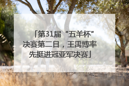第31届“五羊杯”决赛第二日，王禹博率先挺进冠亚军决赛