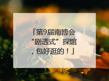 第9届南博会“剧透式”探馆，包好逛的！
