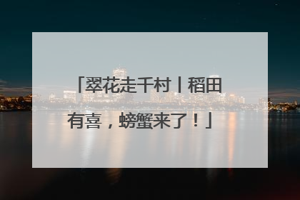 翠花走千村丨稻田有喜，螃蟹来了！