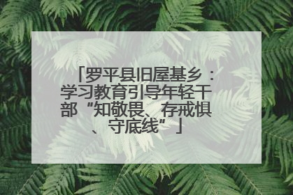罗平县旧屋基乡：学习教育引导年轻干部“知敬畏、存戒惧、守底线”