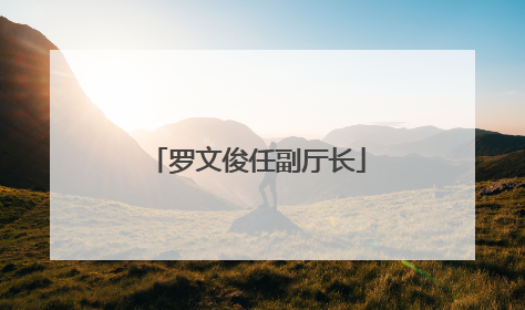 罗文俊任副厅长