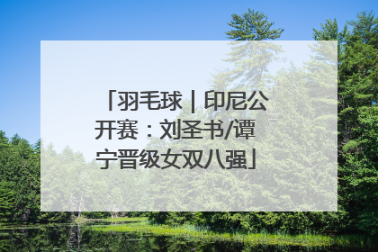 羽毛球｜印尼公开赛：刘圣书/谭宁晋级女双八强