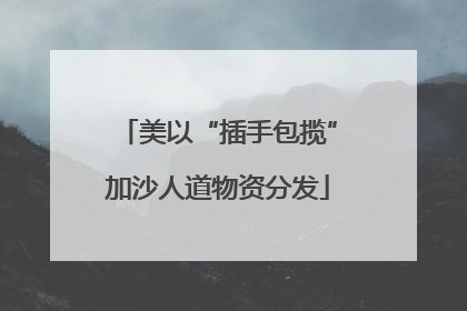 美以“插手包揽”加沙人道物资分发
