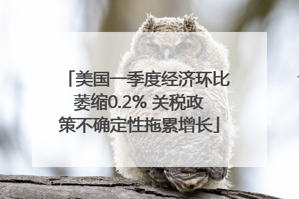 美国一季度经济环比萎缩0.2% 关税政策不确定性拖累增长