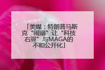 美媒：特朗普马斯克“闹崩”让“科技右翼”与MAGA的不和公开化