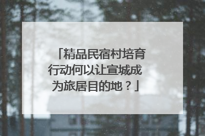 精品民宿村培育行动何以让宣城成为旅居目的地？