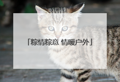 粽情粽意 情暖户外