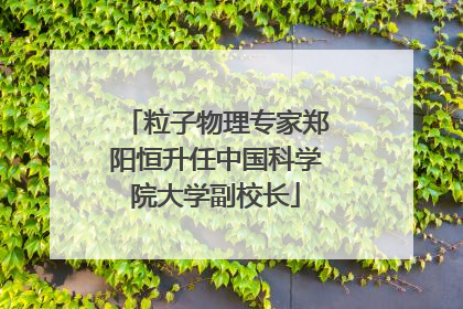 粒子物理专家郑阳恒升任中国科学院大学副校长