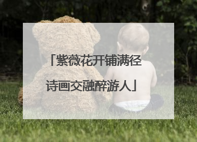 紫薇花开铺满径 诗画交融醉游人