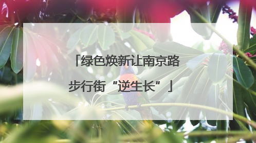 绿色焕新让南京路步行街“逆生长”