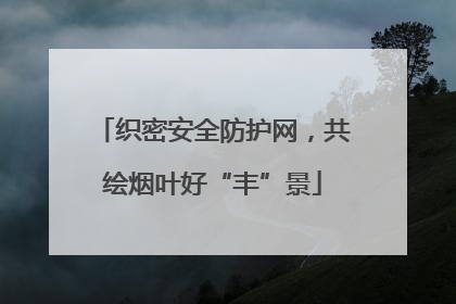 织密安全防护网，共绘烟叶好“丰”景