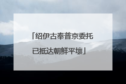 绍伊古奉普京委托已抵达朝鲜平壤