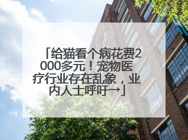 给猫看个病花费2000多元！宠物医疗行业存在乱象，业内人士呼吁→