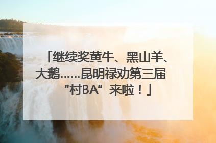继续奖黄牛、黑山羊、大鹅……昆明禄劝第三届“村BA”来啦！