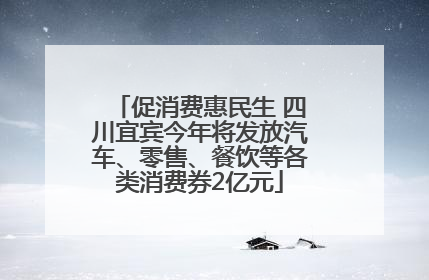 促消费惠民生 四川宜宾今年将发放汽车、零售、餐饮等各类消费券2亿元