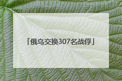 俄乌交换307名战俘