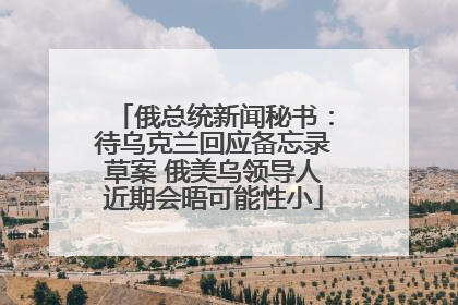 俄总统新闻秘书：待乌克兰回应备忘录草案 俄美乌领导人近期会晤可能性小