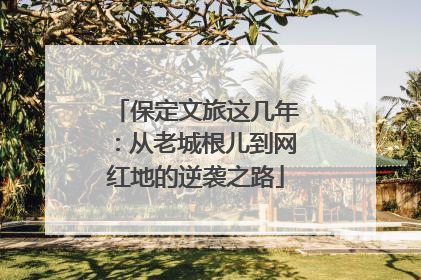 保定文旅这几年：从老城根儿到网红地的逆袭之路