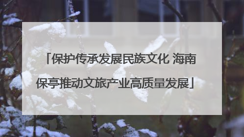 保护传承发展民族文化 海南保亭推动文旅产业高质量发展
