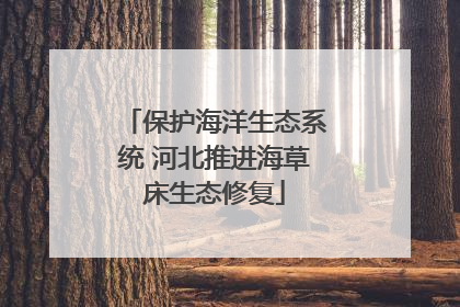 保护海洋生态系统 河北推进海草床生态修复