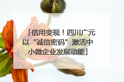 信用变现！四川广元以“诚信密码”激活中小微企业发展动能