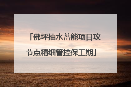 佛坪抽水蓄能项目攻节点精细管控保工期