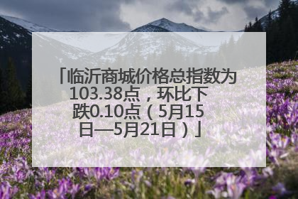 临沂商城价格总指数为103.38点，环比下跌0.10点（5月15日—5月21日）