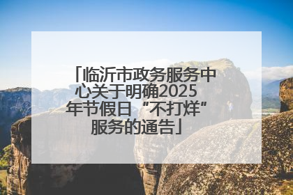 临沂市政务服务中心关于明确2025年节假日“不打烊”服务的通告