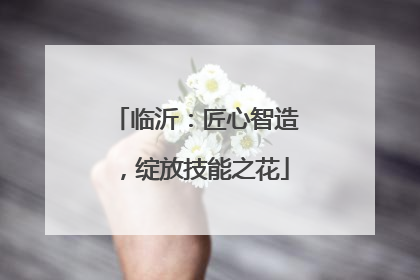 临沂：匠心智造，绽放技能之花