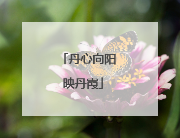 丹心向阳映丹霞