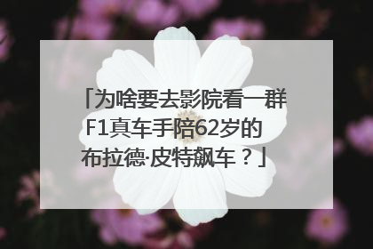 为啥要去影院看一群F1真车手陪62岁的布拉德·皮特飙车？
